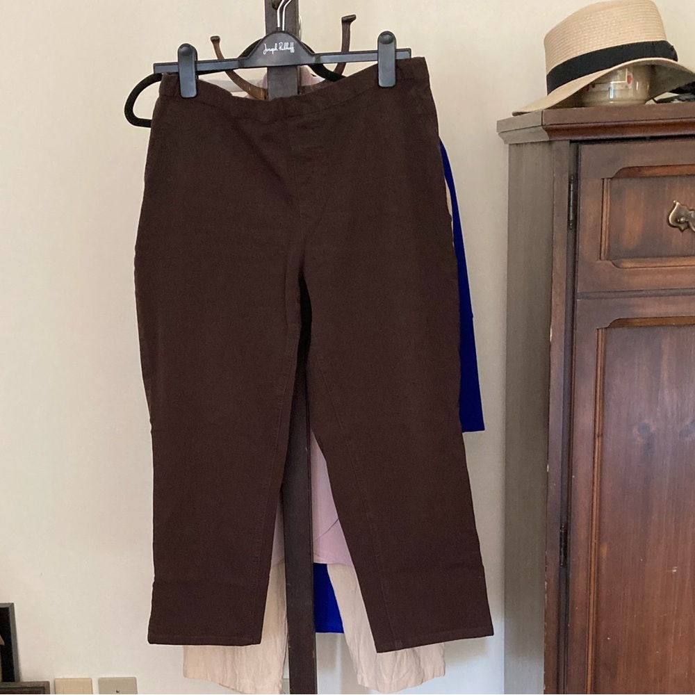 Isaac Mizrahi Dark Brown Pull up pants 16P